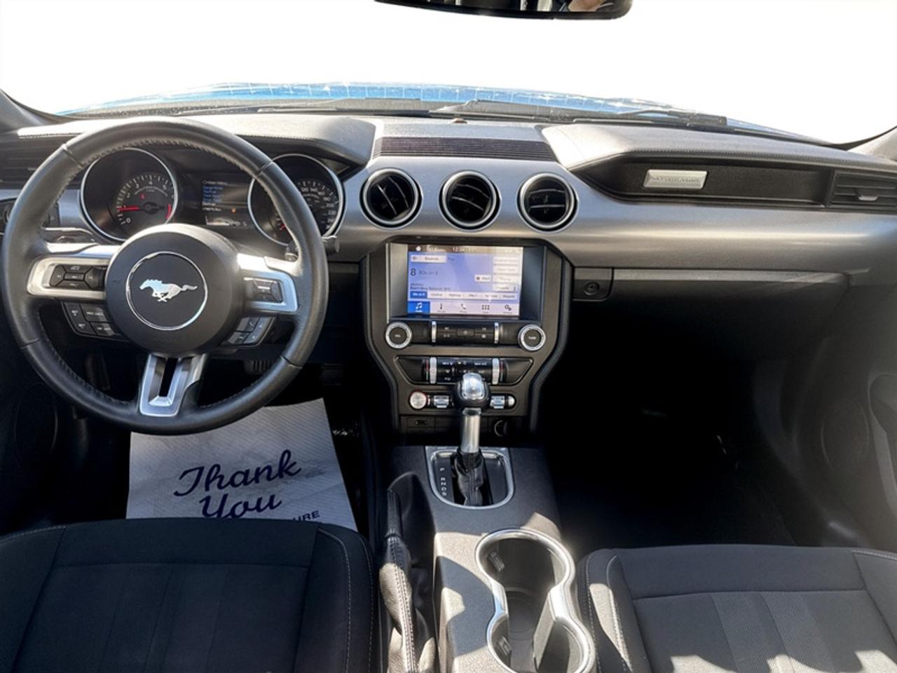 2019 Ford Mustang EcoBoost  - Low Mileage Photo