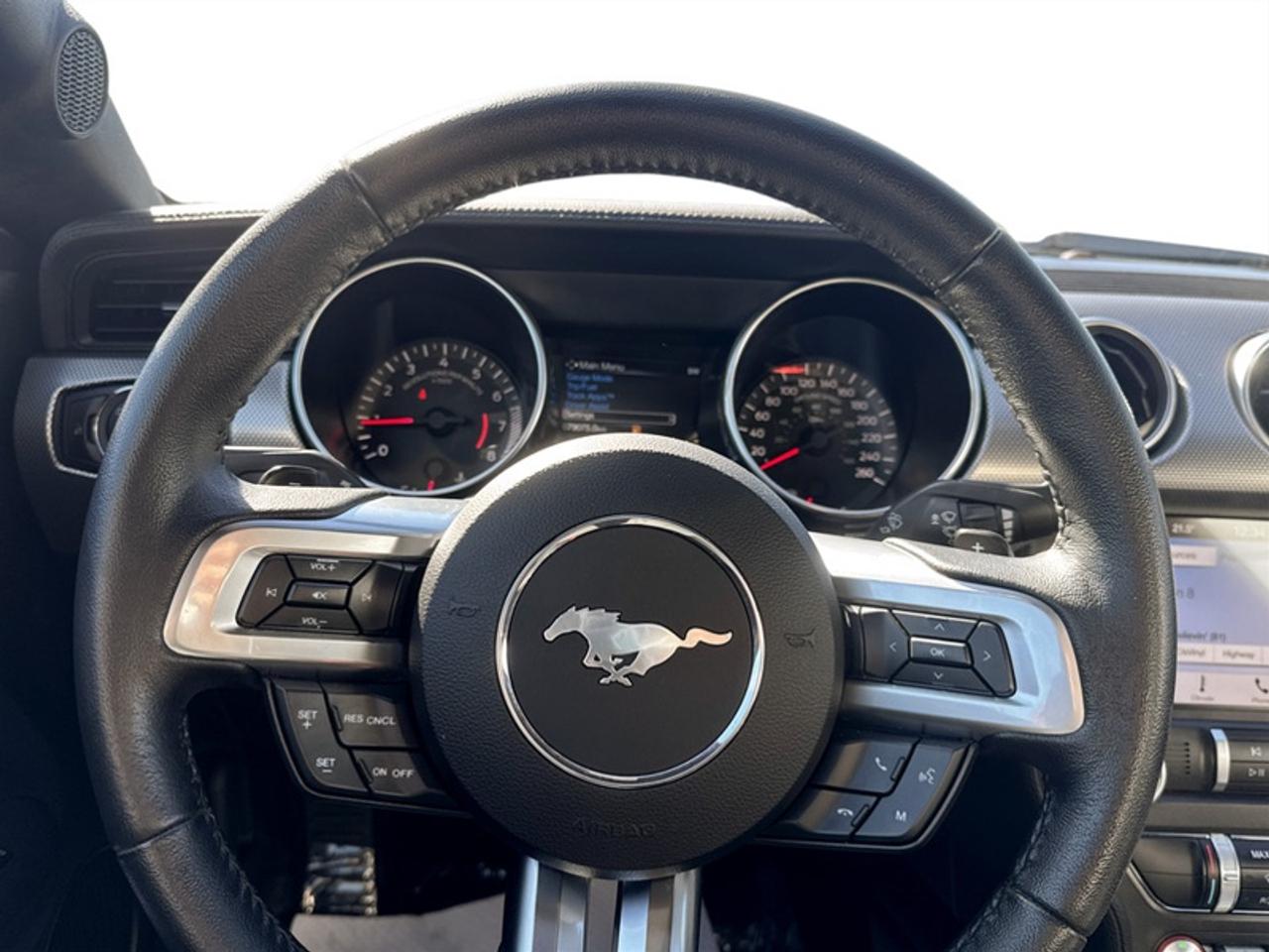 2019 Ford Mustang EcoBoost  - Low Mileage Photo