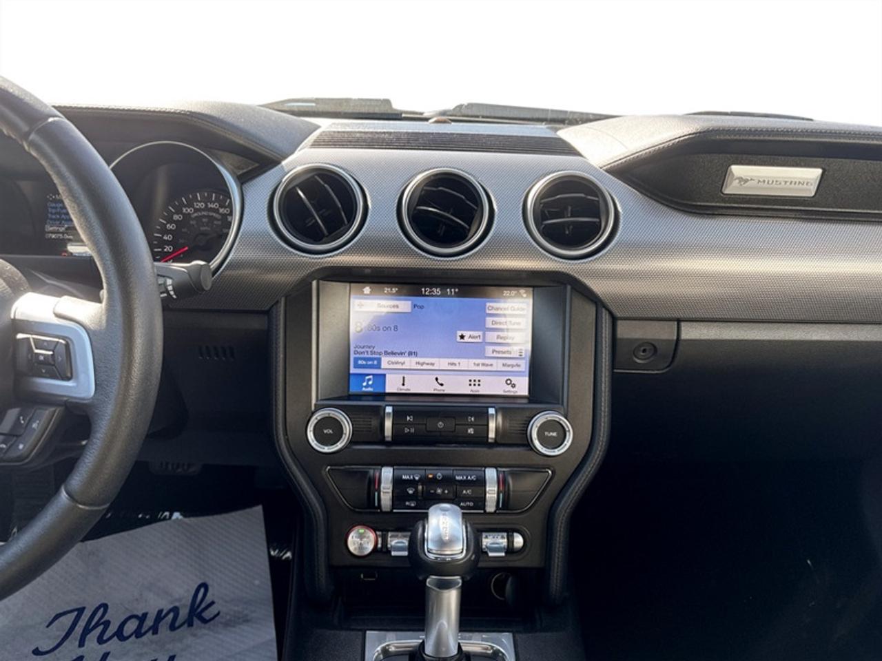 2019 Ford Mustang EcoBoost  - Low Mileage Photo