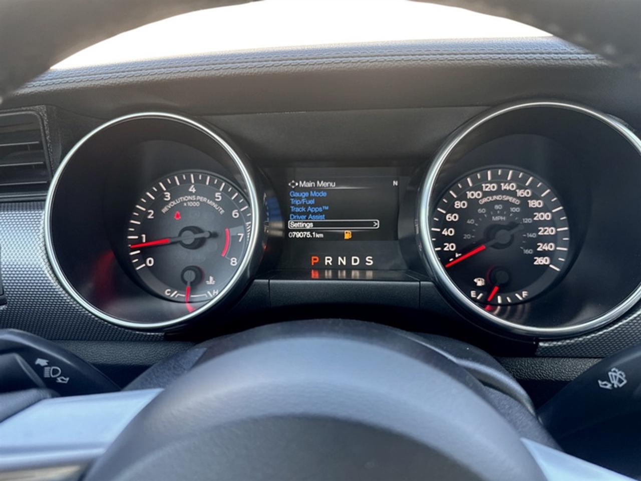 2019 Ford Mustang EcoBoost  - Low Mileage Photo