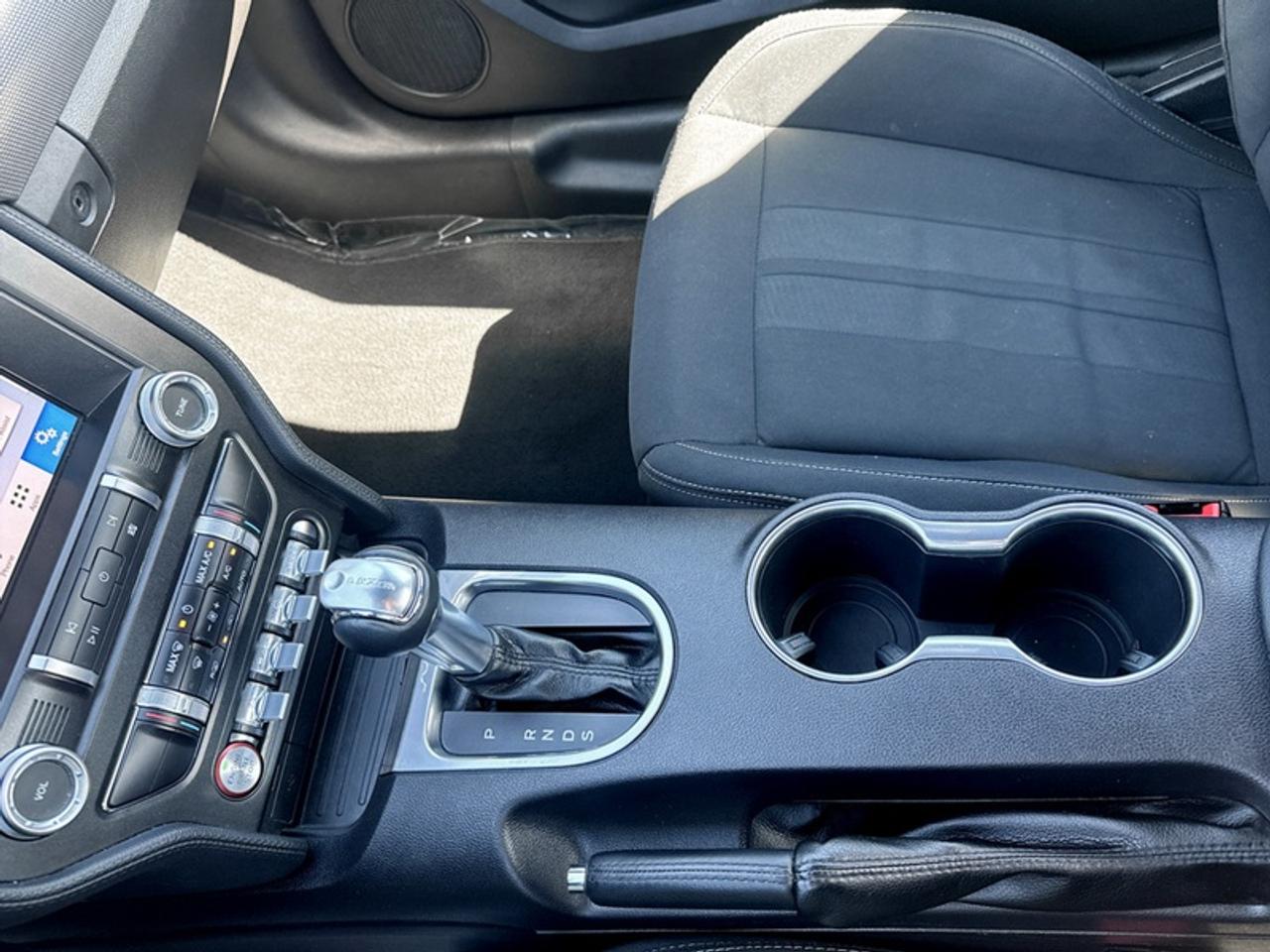 2019 Ford Mustang EcoBoost  - Low Mileage Photo