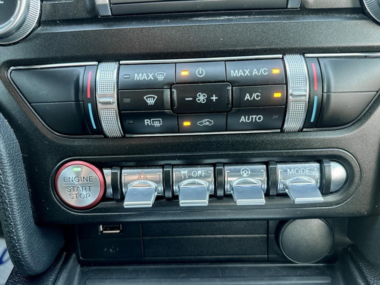 2019 Ford Mustang EcoBoost  - Low Mileage Photo