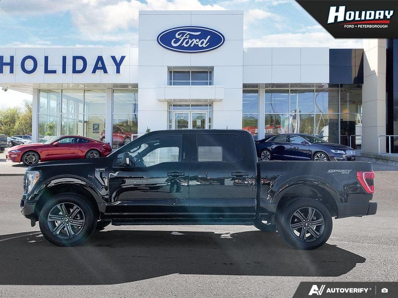 2023 Ford F-150 XLT Photo