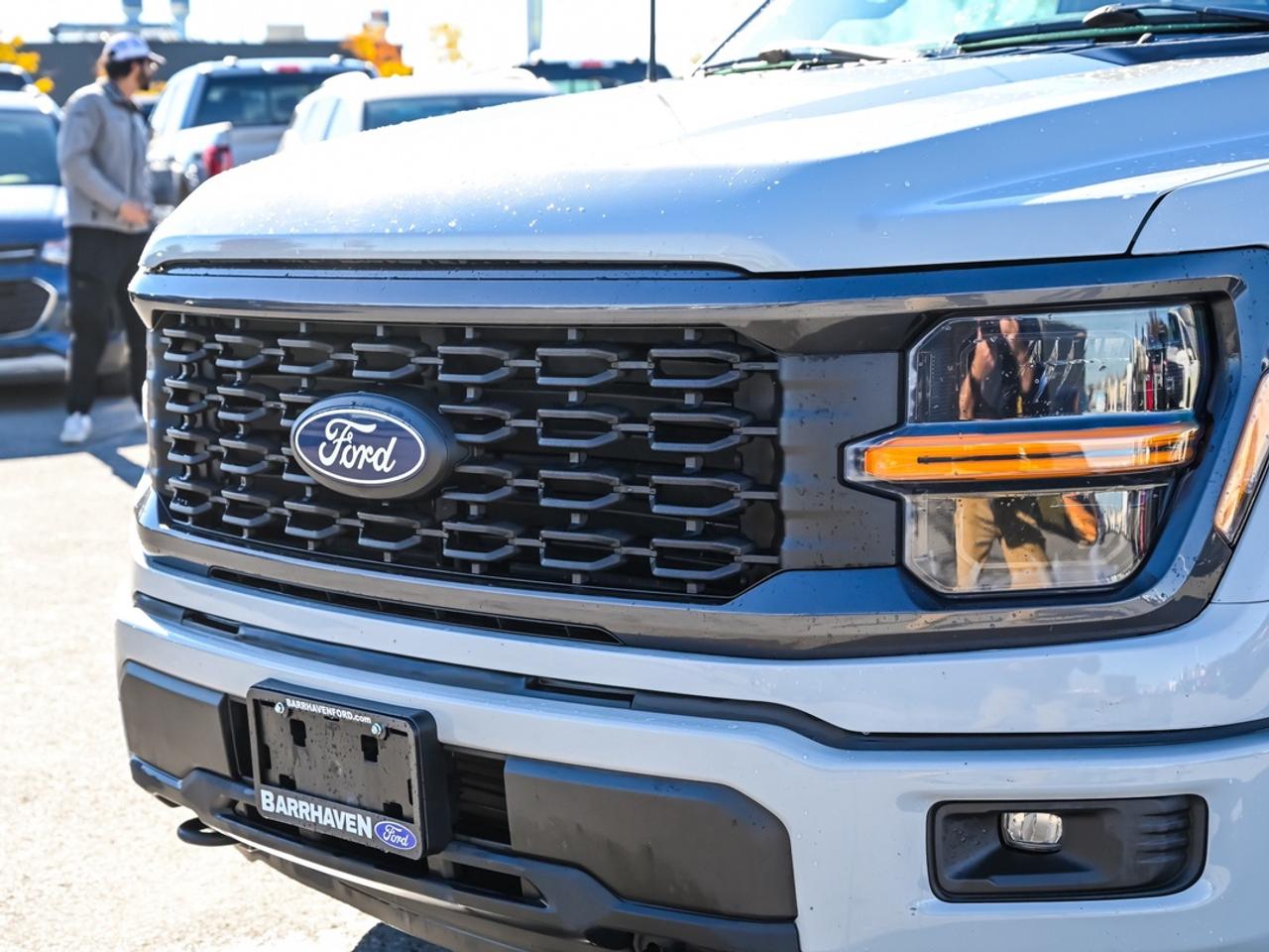 2024 Ford F-150 STX Photo