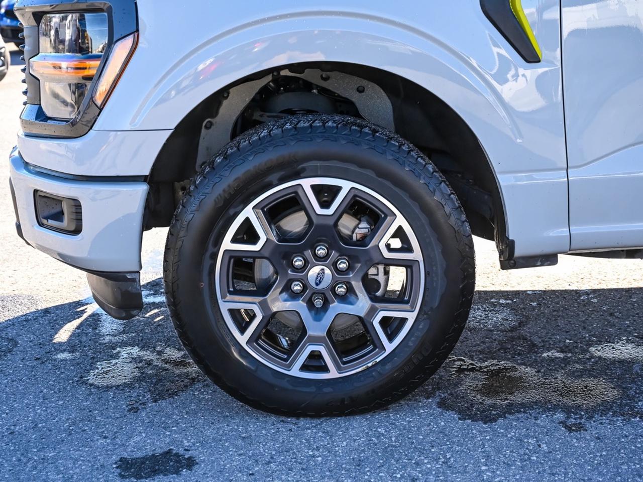 2024 Ford F-150 STX Photo