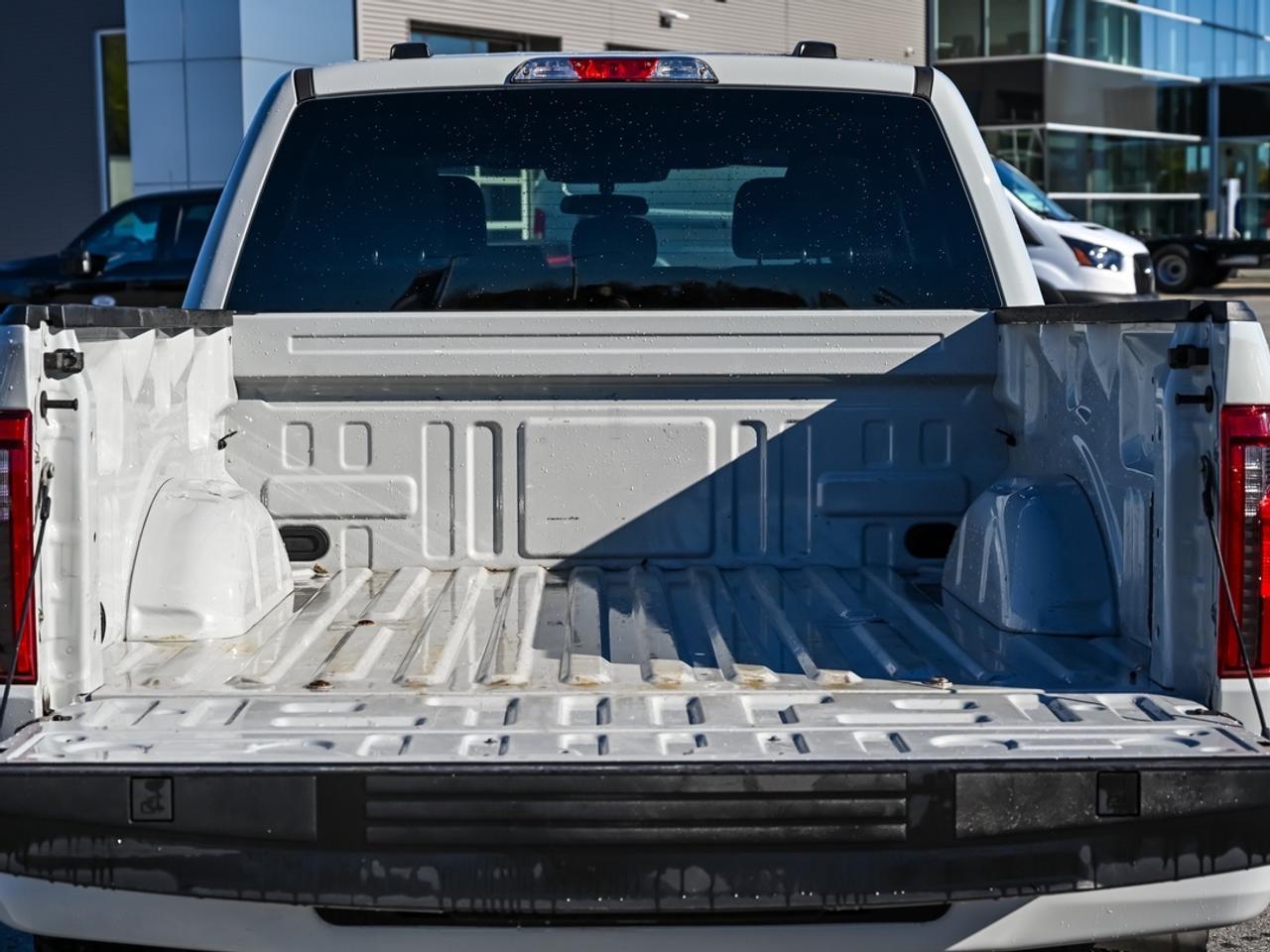 2024 Ford F-150 STX Photo