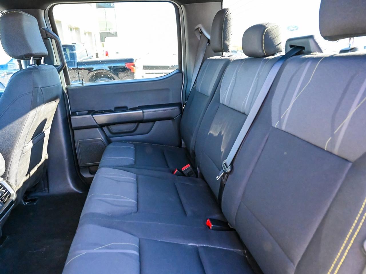 2024 Ford F-150 STX Photo