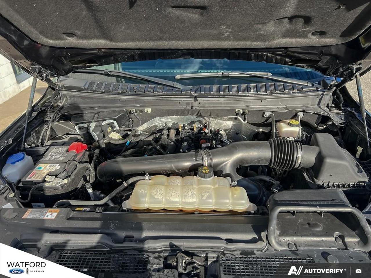 2024 Ford Expedition Platinum 4x4 Photo
