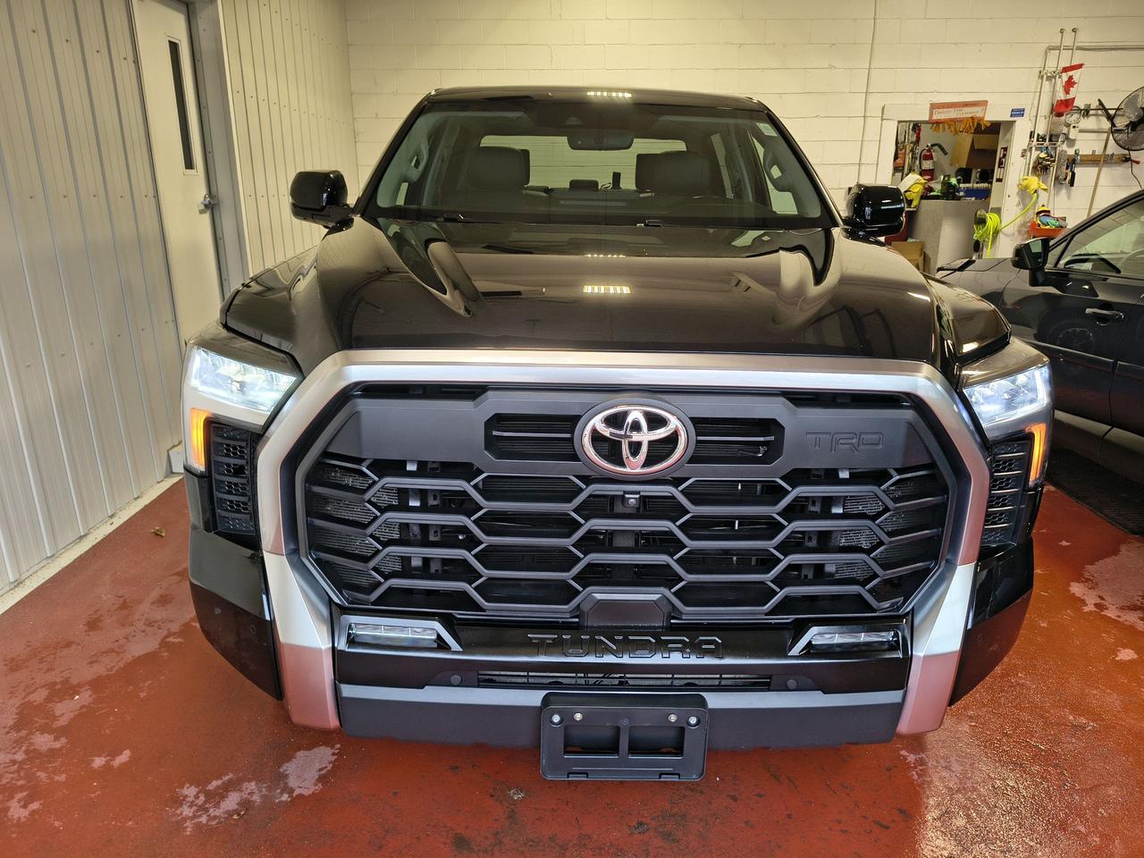 2024 Toyota Tundra Limited  Photo