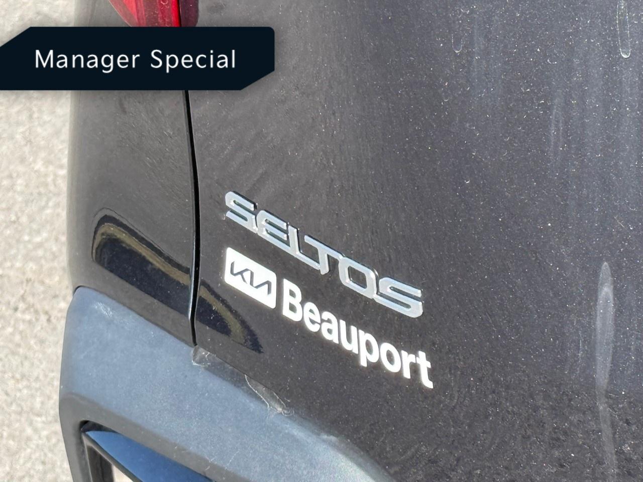 2024 Kia Seltos EX PREMIUM AWD Photo