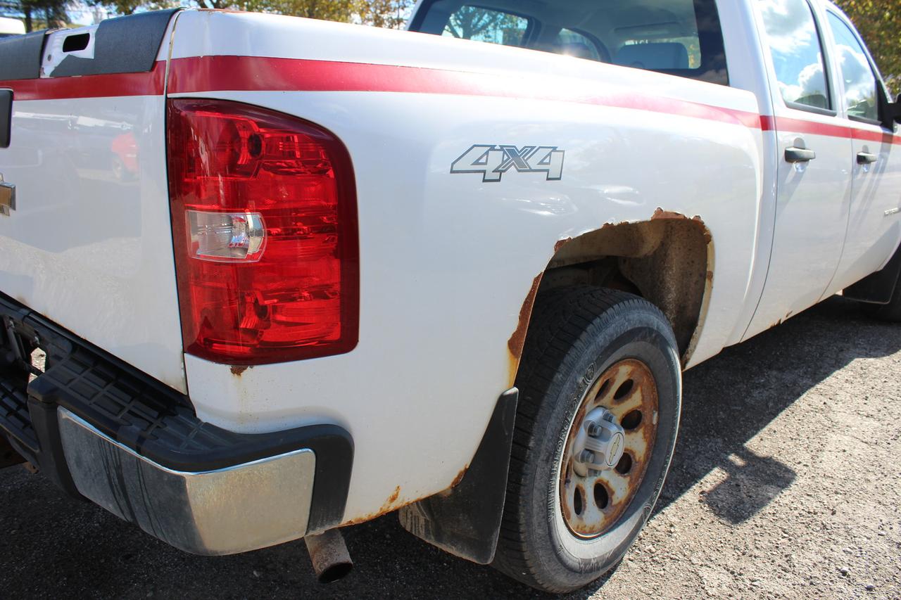 2009 Chevrolet Silverado 1500 WT Photo