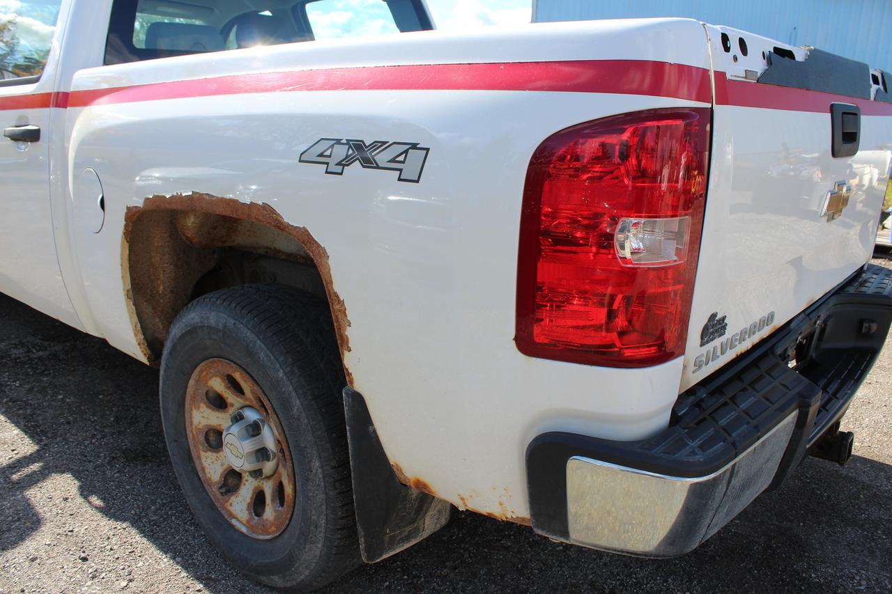 2009 Chevrolet Silverado 1500 WT Photo
