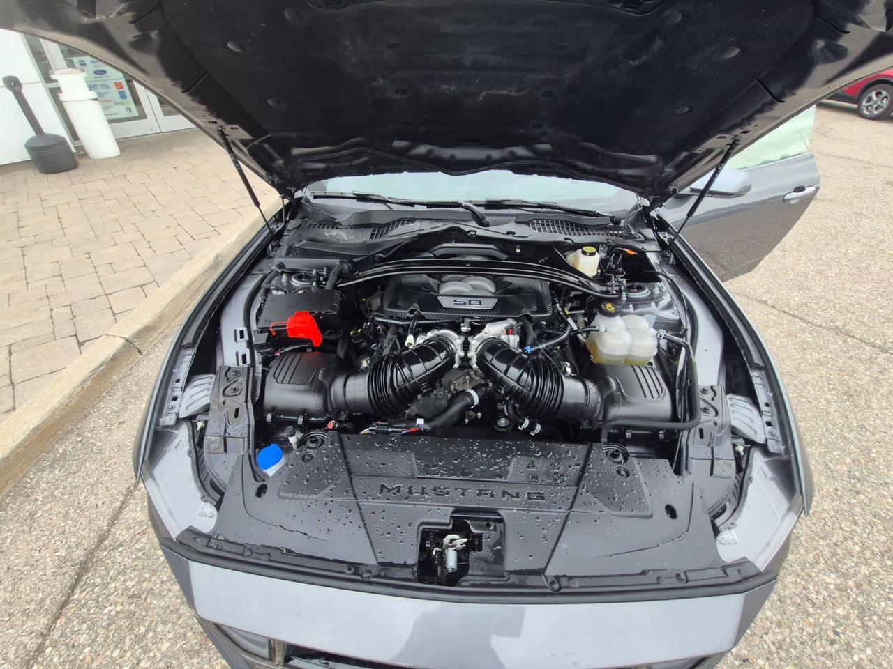 2026 Ford Mustang GT PERFORMANCE PACK, ACTIVE VALVE AND MAGNA RIDE! Photo