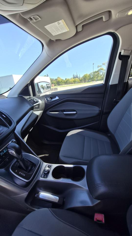 2013 Ford Escape SE Photo