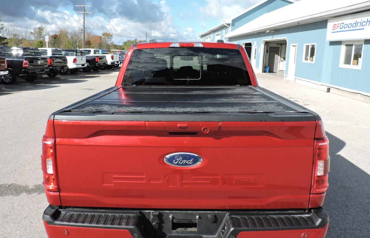 2022 Ford F-150 XLT/Sport 5.0L 4X4 1-Owner Well Oiled  53000KMS Photo