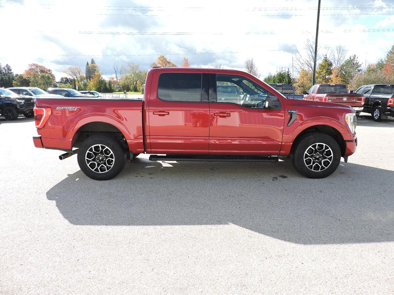 2022 Ford F-150 XLT/Sport 5.0L 4X4 1-Owner Well Oiled  53000KMS Photo3