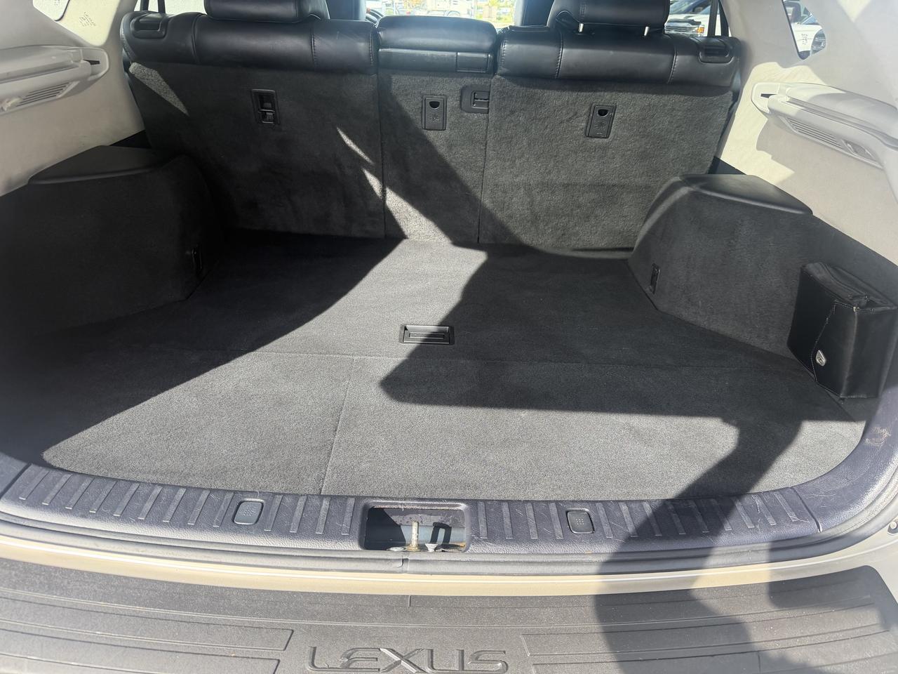 2008 Lexus RX 350  Photo
