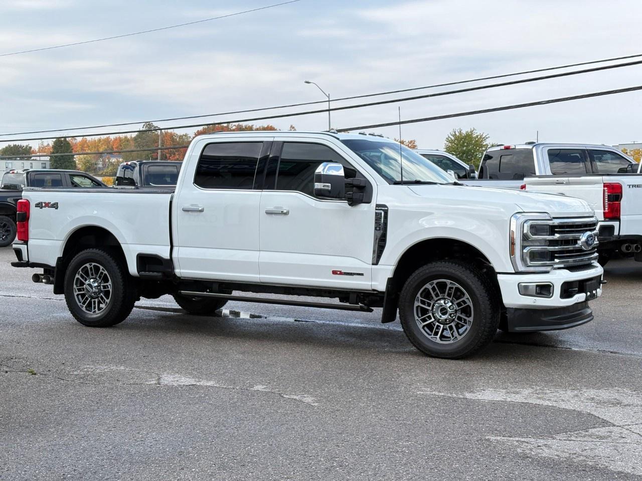 2025 Ford F-250 Super Duty SRW PLATINUM 4WD CREW CAB 6.75' BOX Photo4