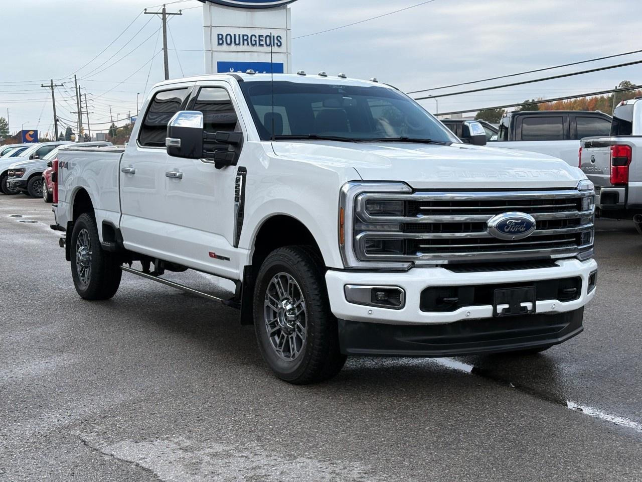2025 Ford F-250 Super Duty SRW PLATINUM 4WD CREW CAB 6.75' BOX Photo