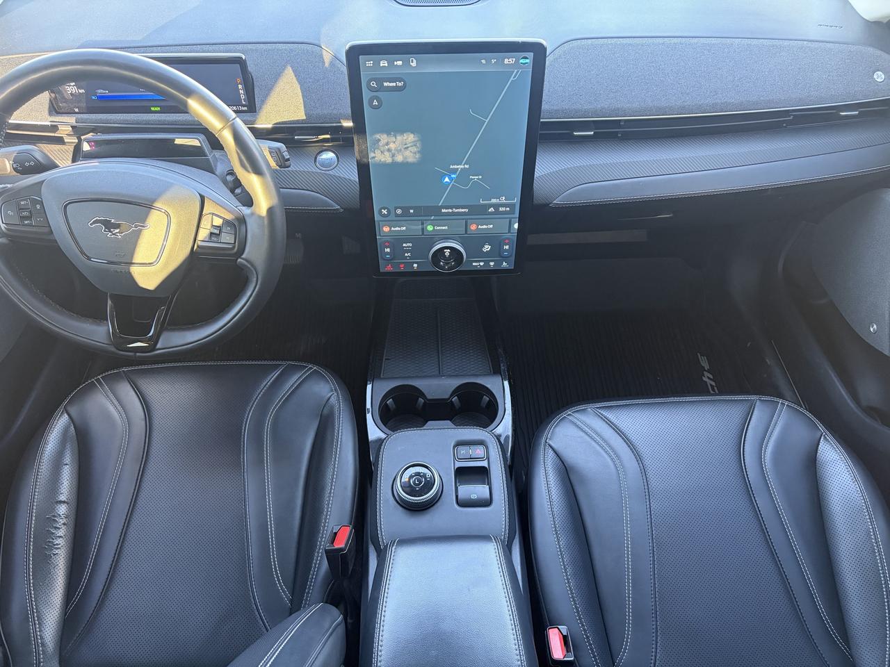 2021 Ford Mustang Mach-E Premium AWD Photo