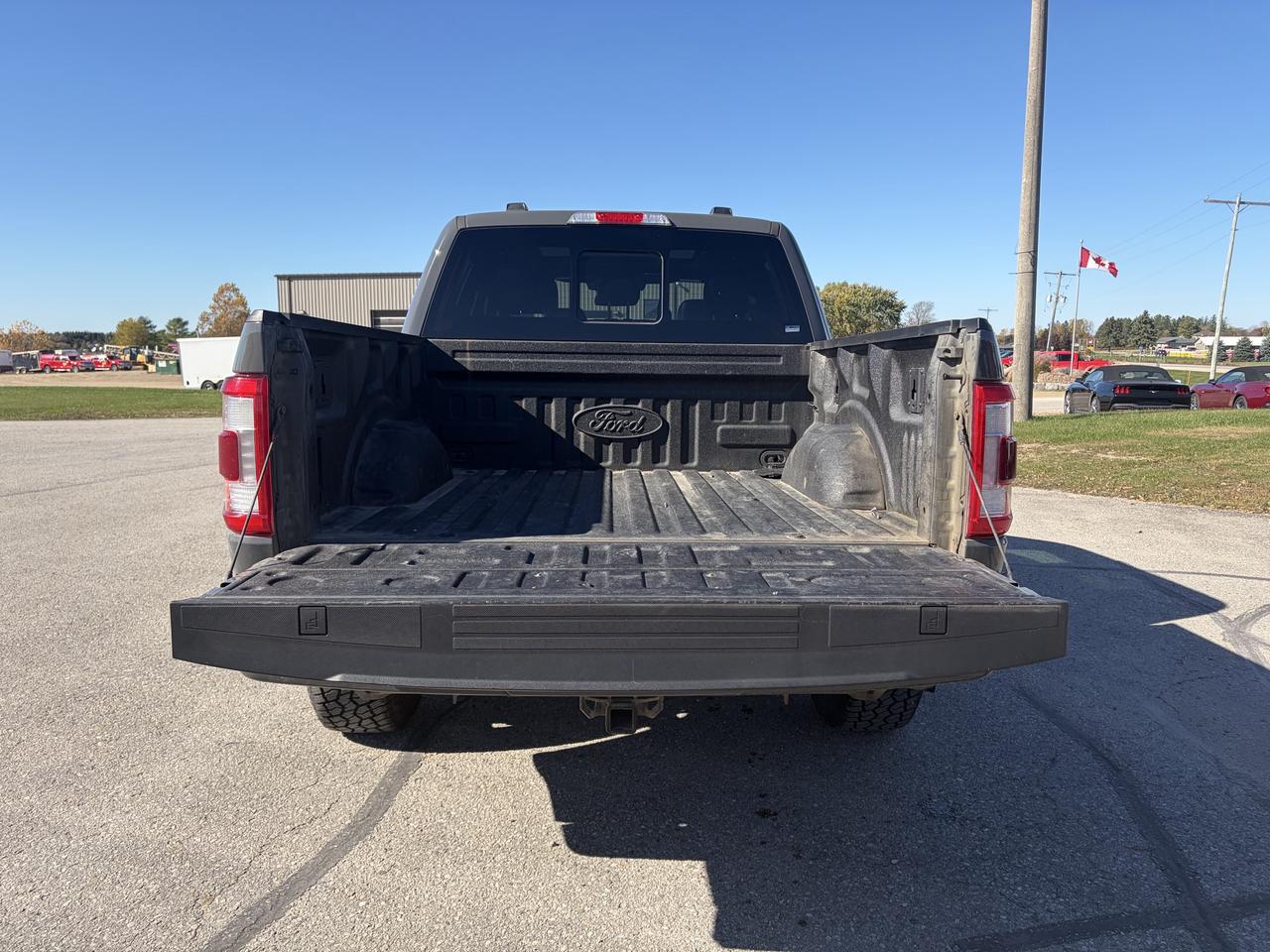 2021 Ford F-150 Lariat 4WD SuperCrew 5.5' Box Photo