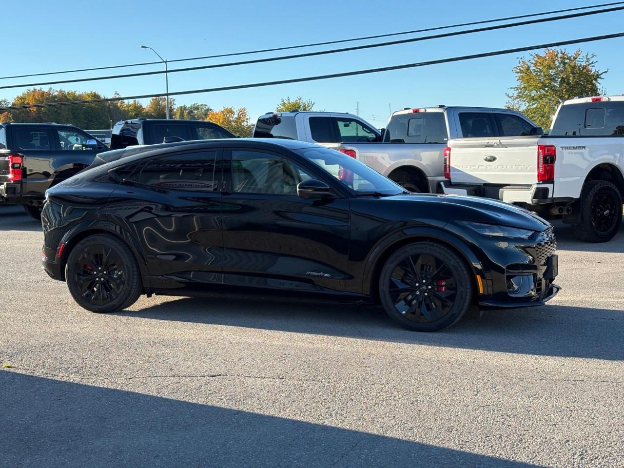2026 Ford Mustang Mach-E GT AWD Photo