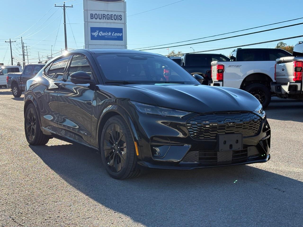 2026 Ford Mustang Mach-E GT AWD Photo