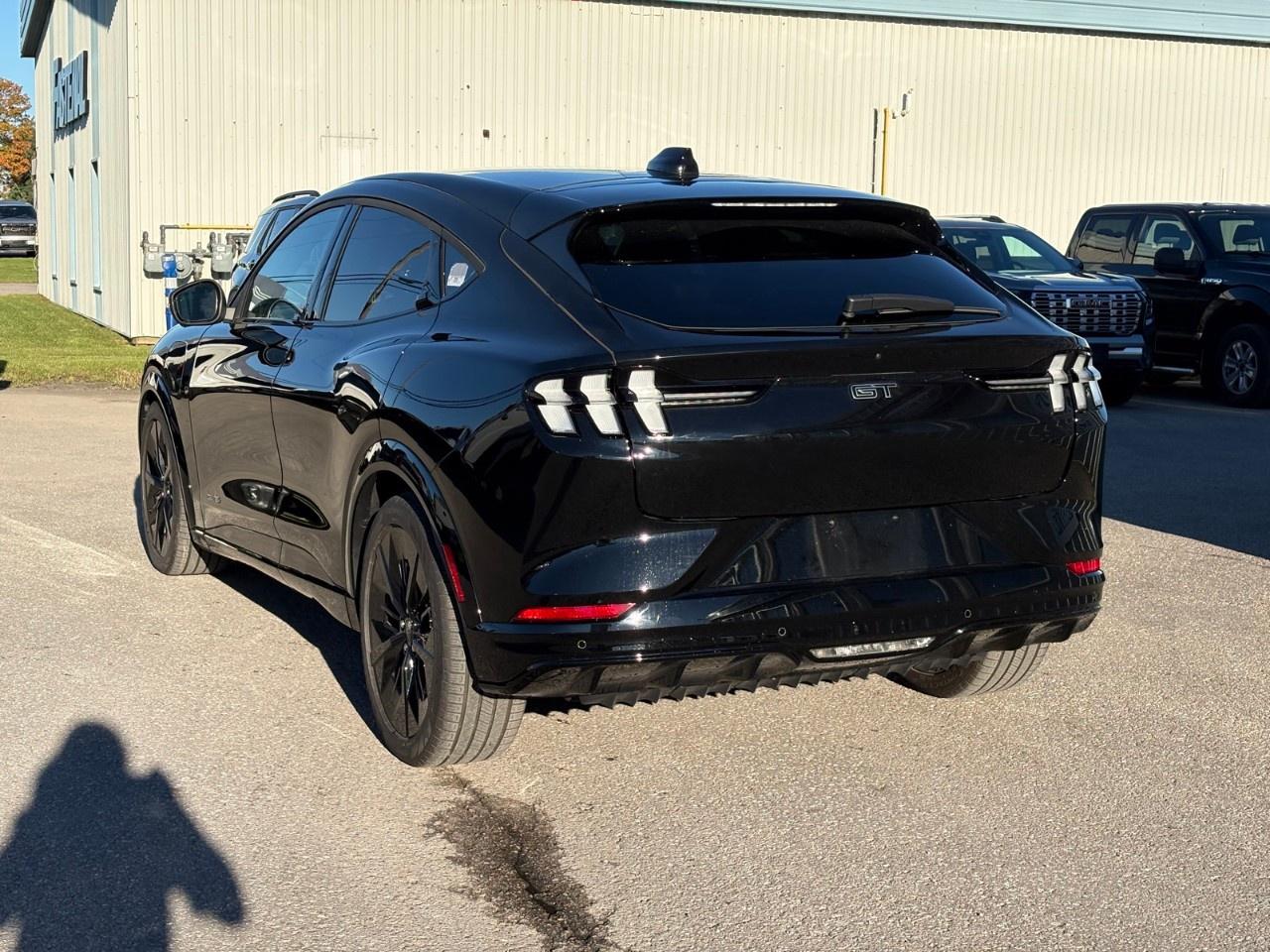 2026 Ford Mustang Mach-E GT AWD Photo