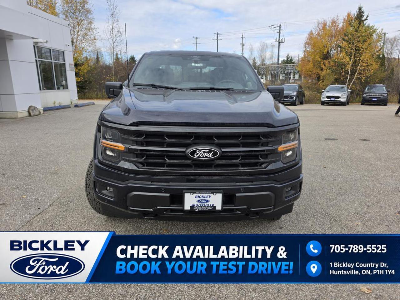 2026 Ford F-150 XLT Photo5