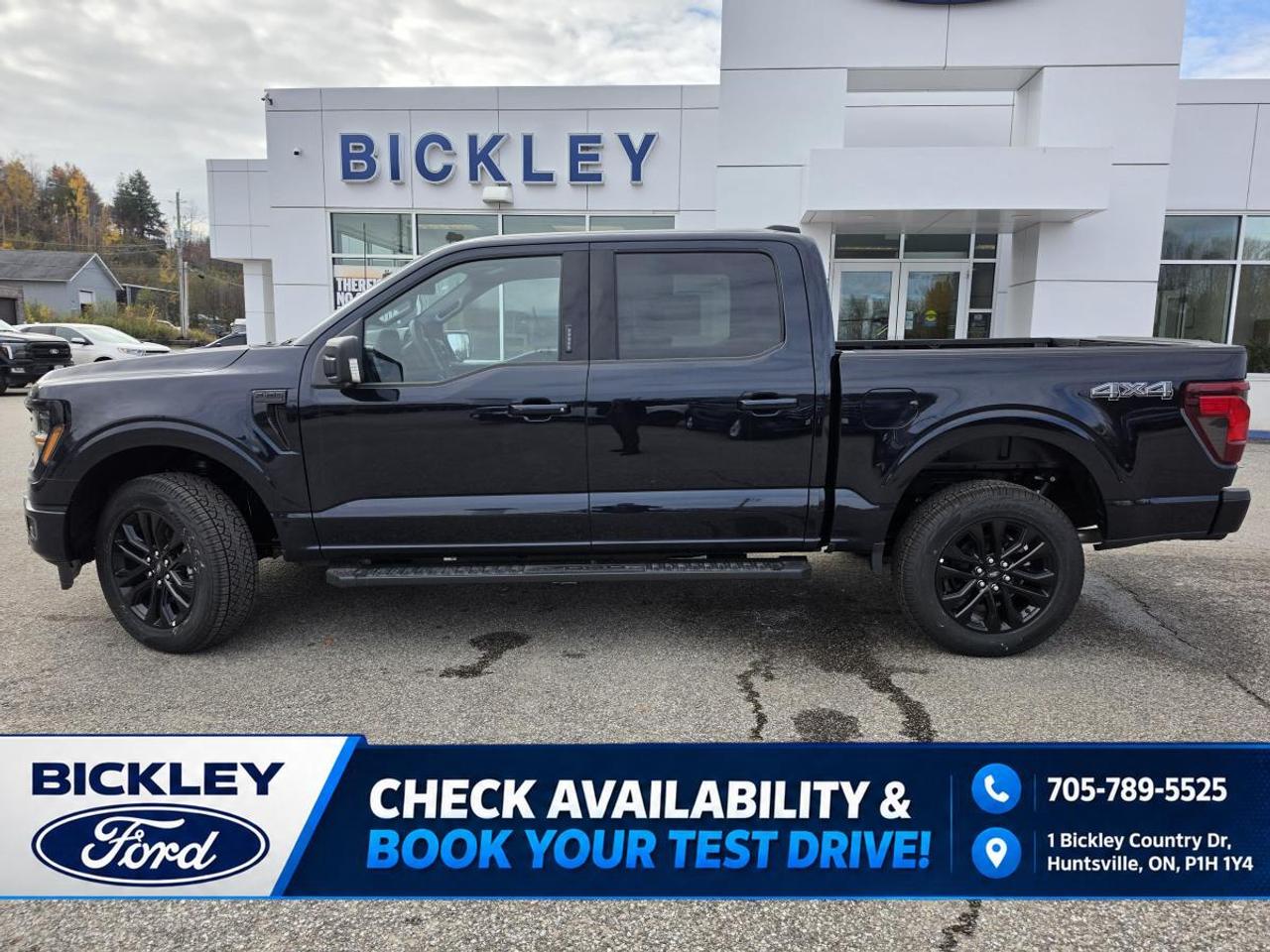 2026 Ford F-150 XLT Photo4