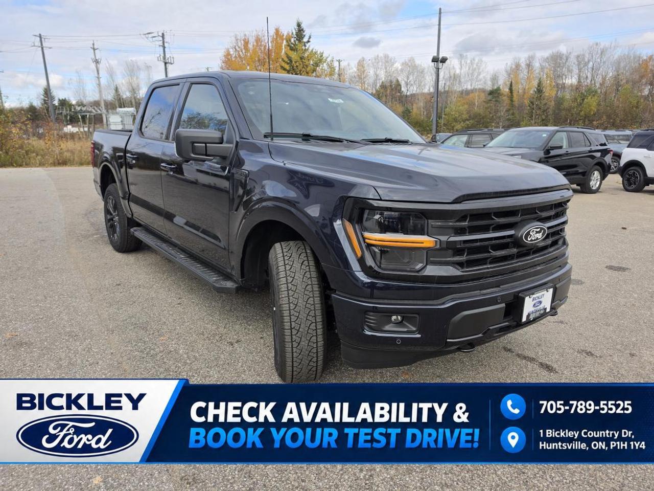 2026 Ford F-150 XLT Photo