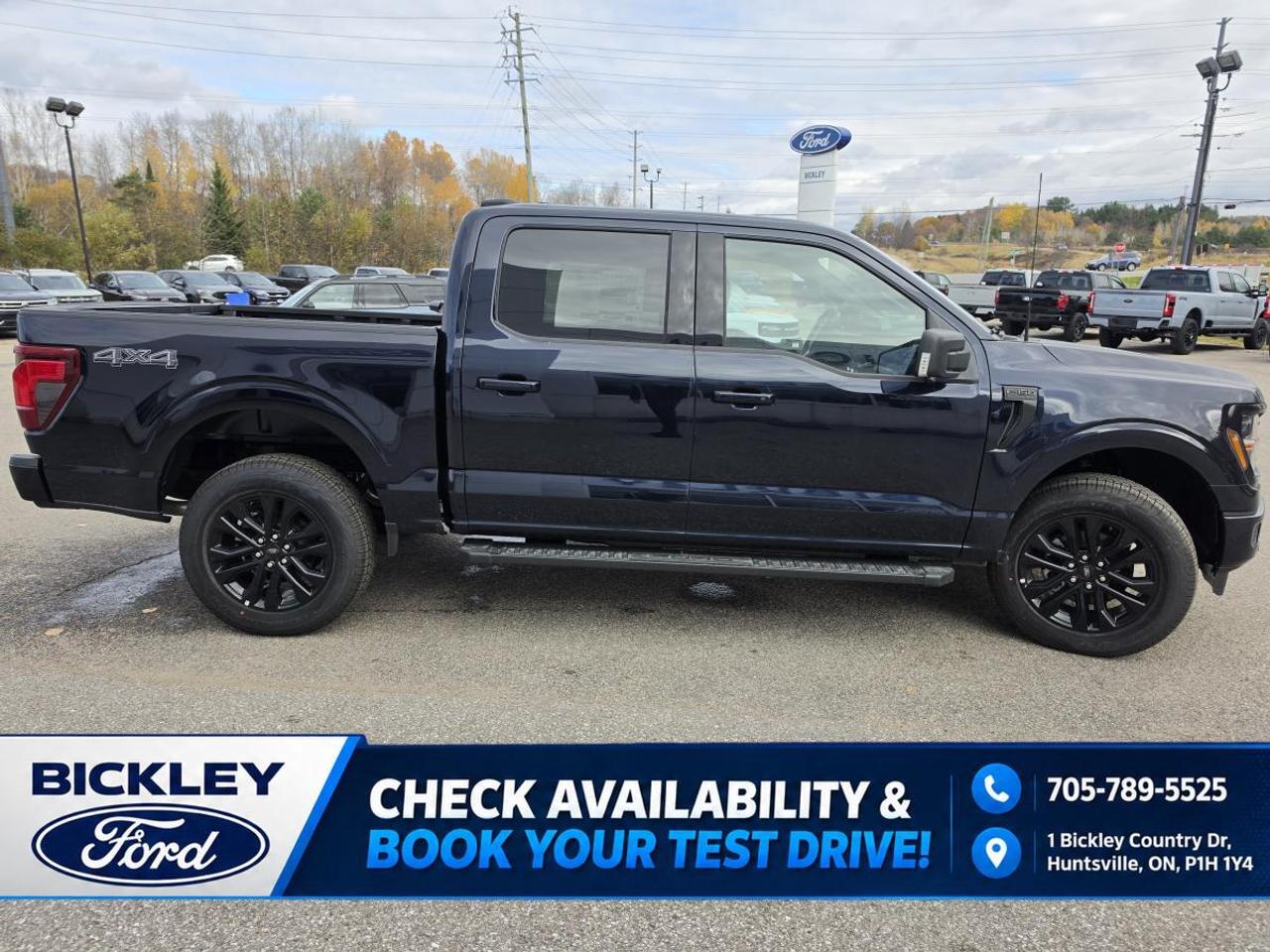 2026 Ford F-150 XLT Photo