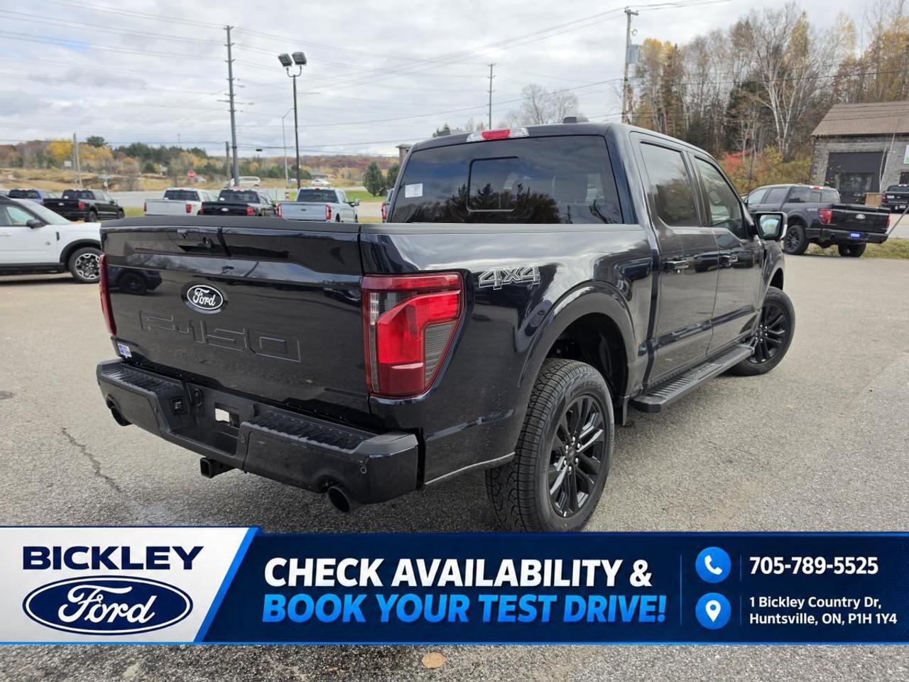 2026 Ford F-150 XLT Photo