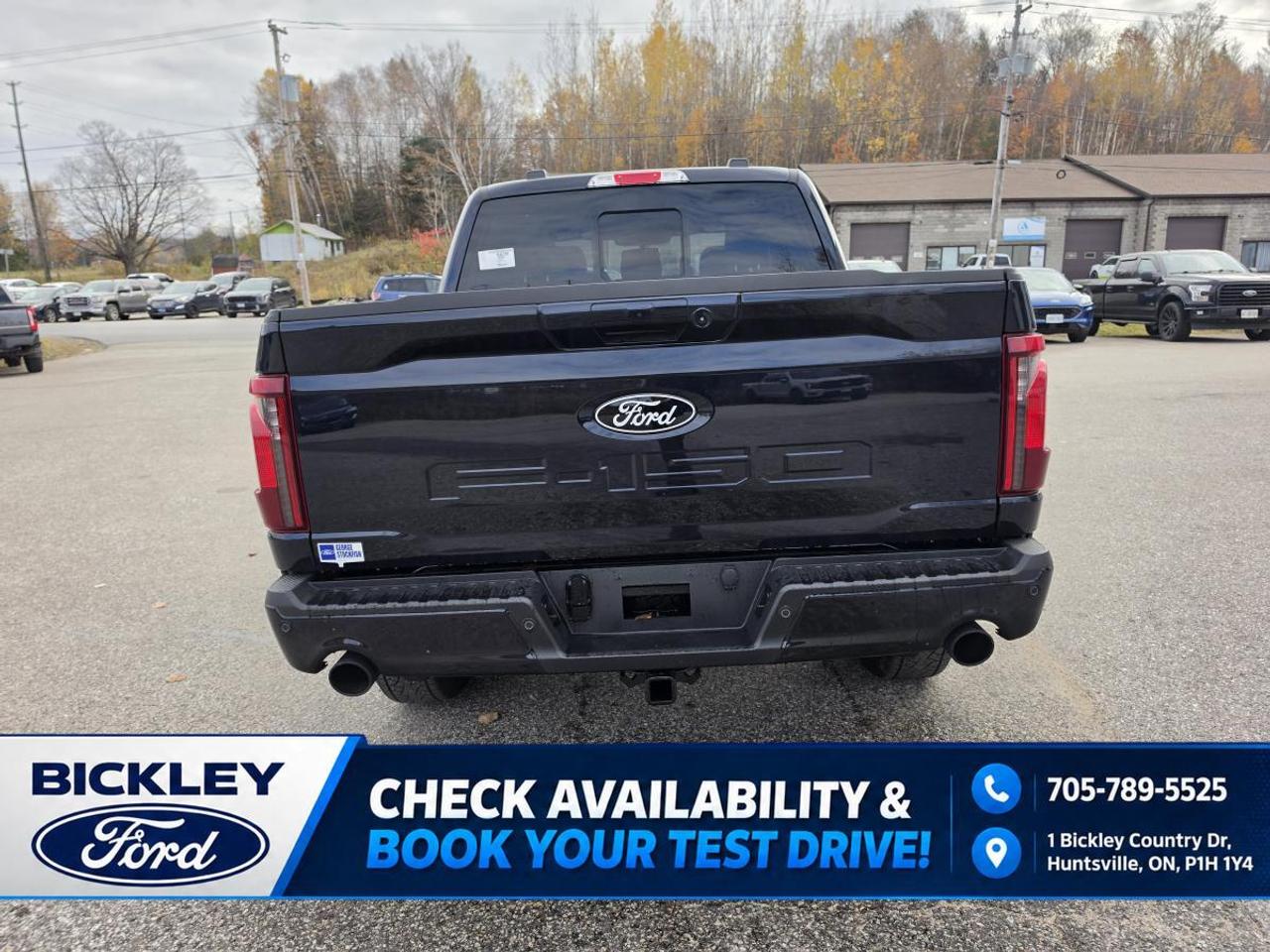 2026 Ford F-150 XLT Photo