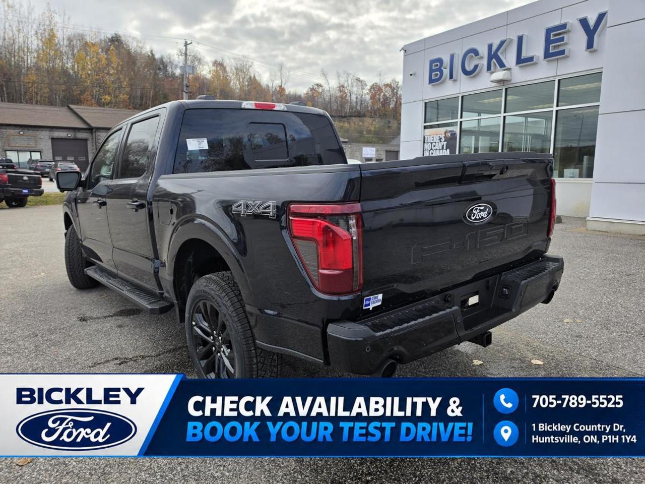 2026 Ford F-150 XLT Photo