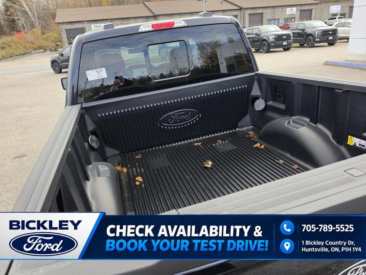 2026 Ford F-150 XLT Photo