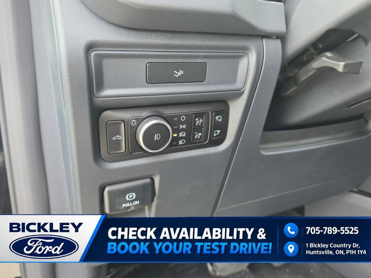 2026 Ford F-150 XLT Photo