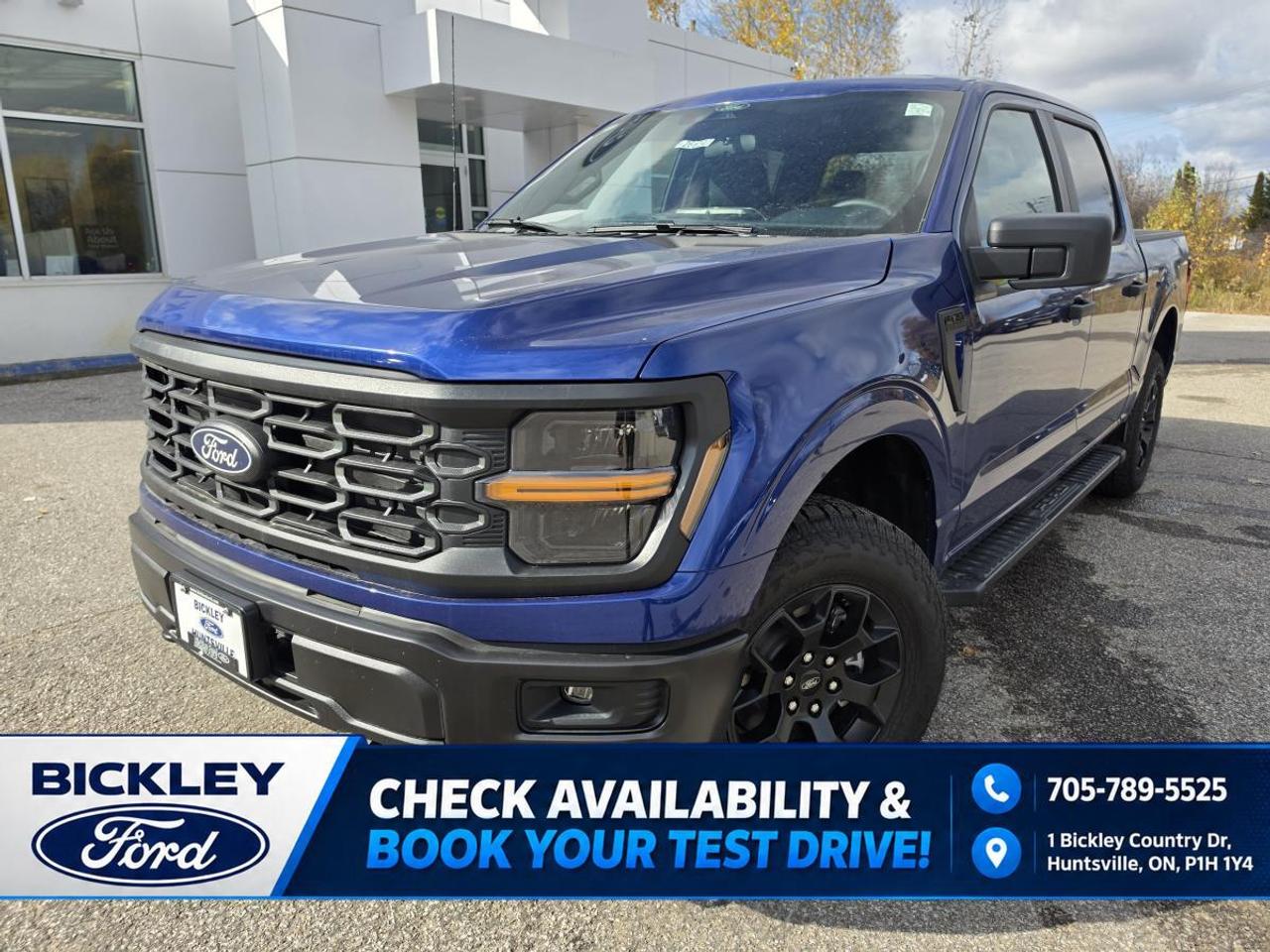 2026 Ford F-150 STX Photo