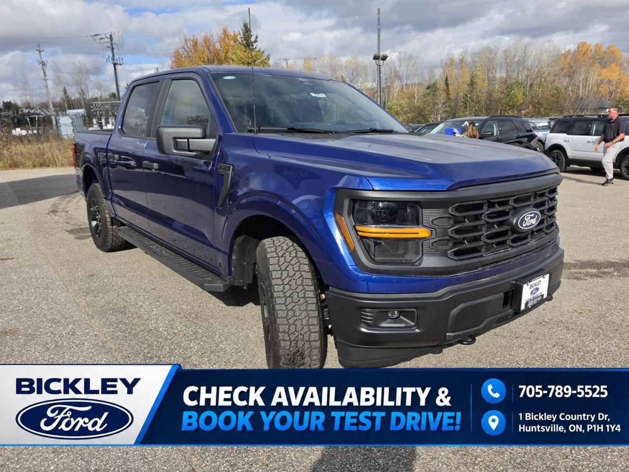 2026 Ford F-150 STX Photo2
