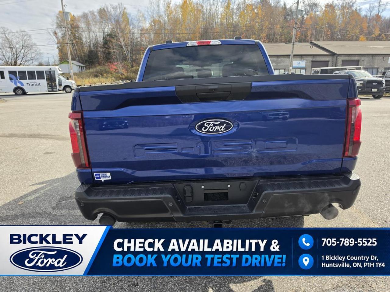 2026 Ford F-150 STX Photo