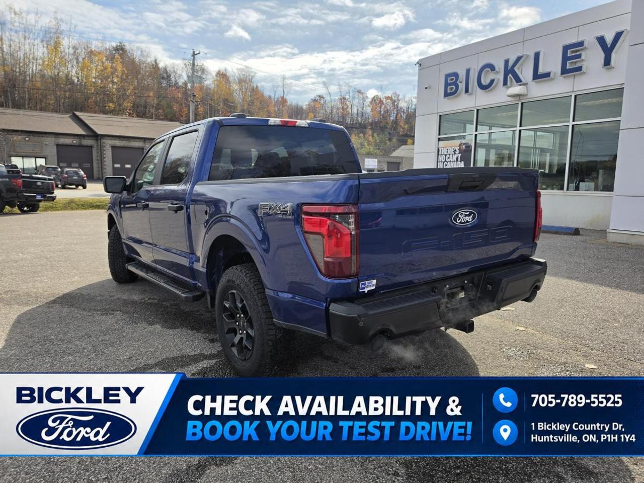 2026 Ford F-150 STX Photo
