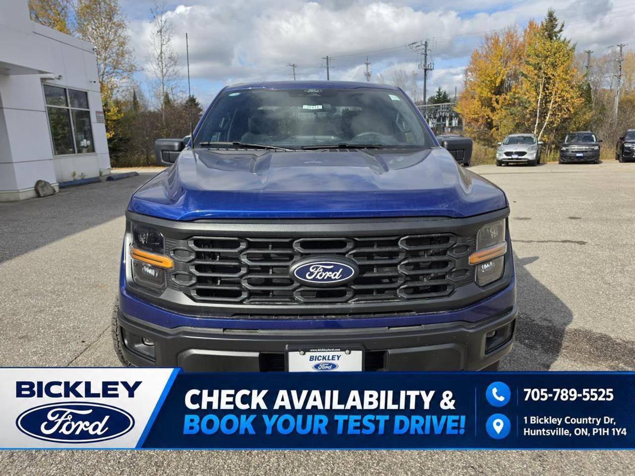 2026 Ford F-150 STX Photo5