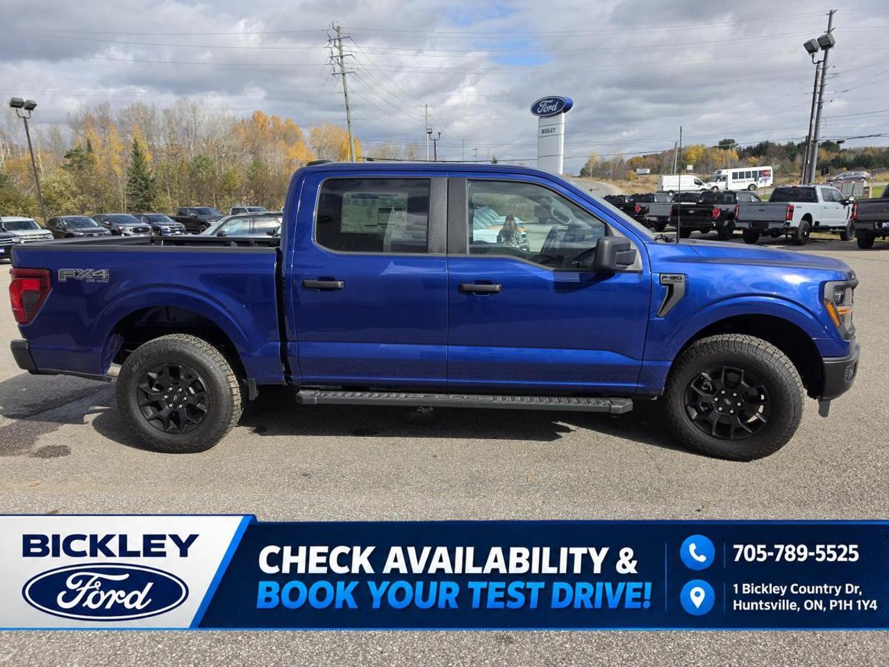 2026 Ford F-150 STX Photo