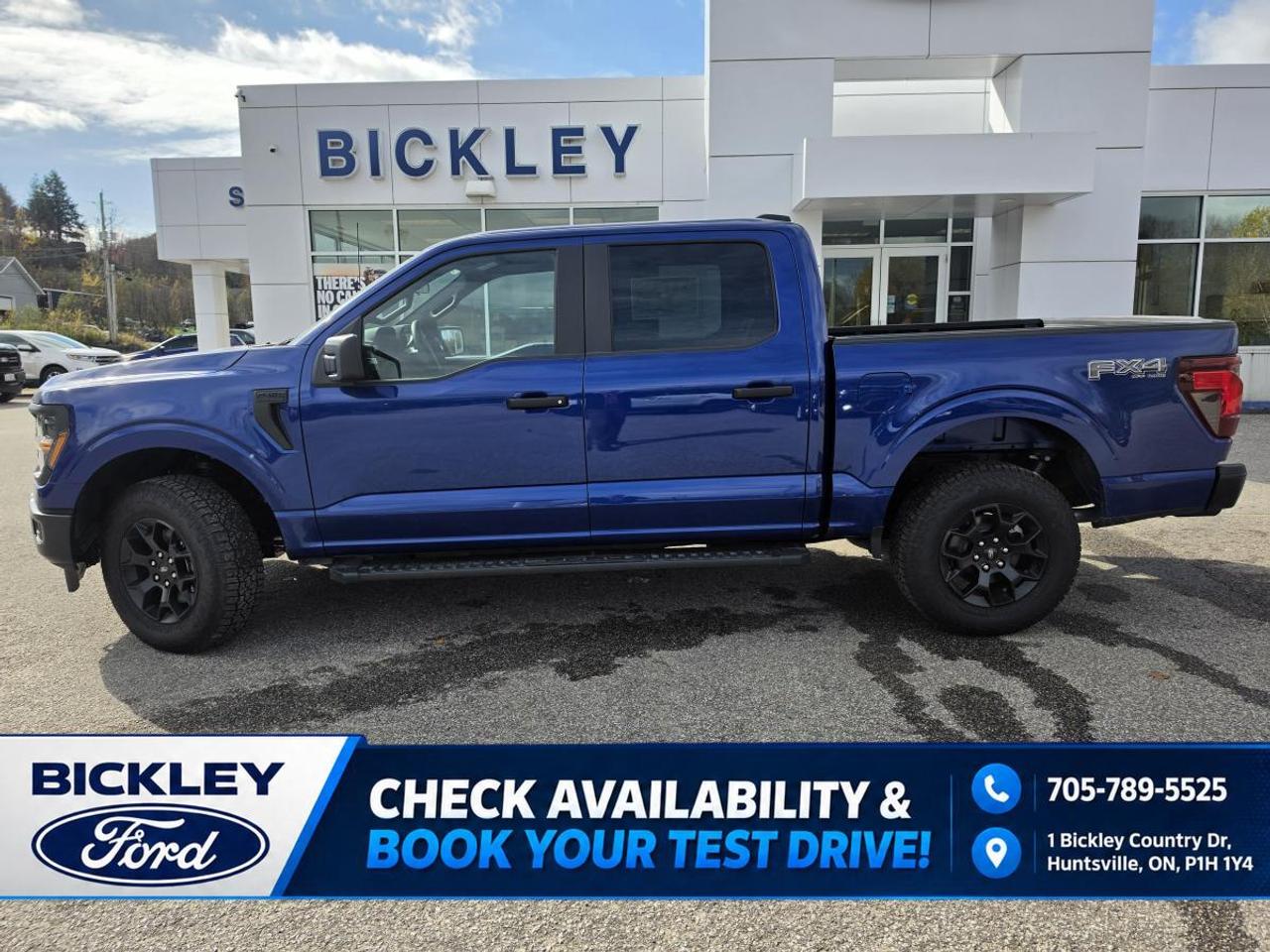 2026 Ford F-150 STX Photo