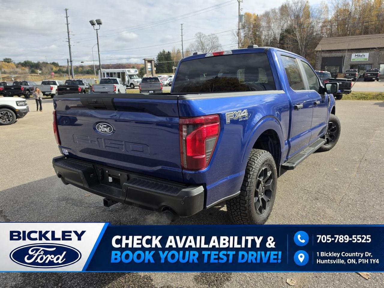2026 Ford F-150 STX Photo