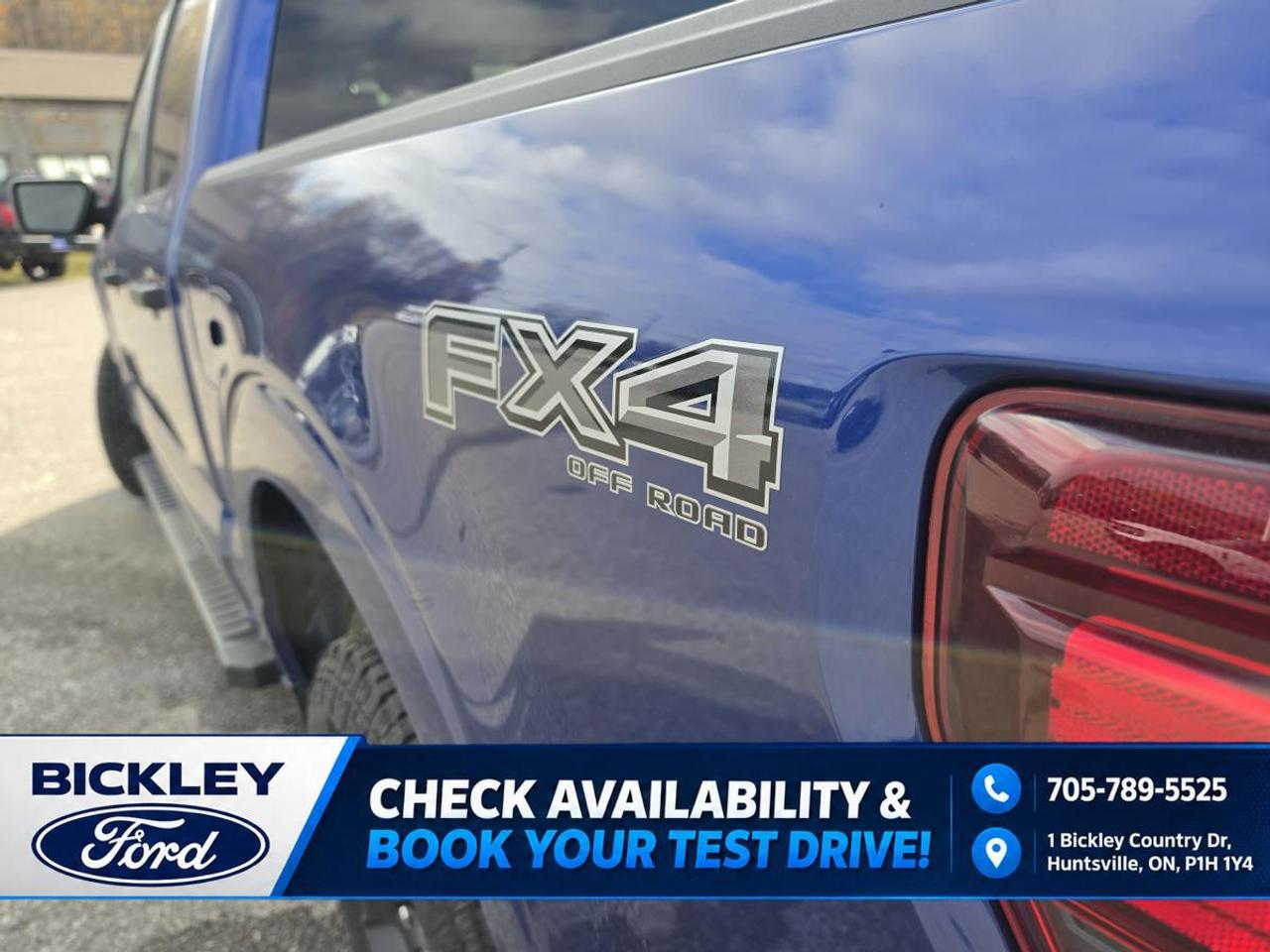2026 Ford F-150 STX Photo