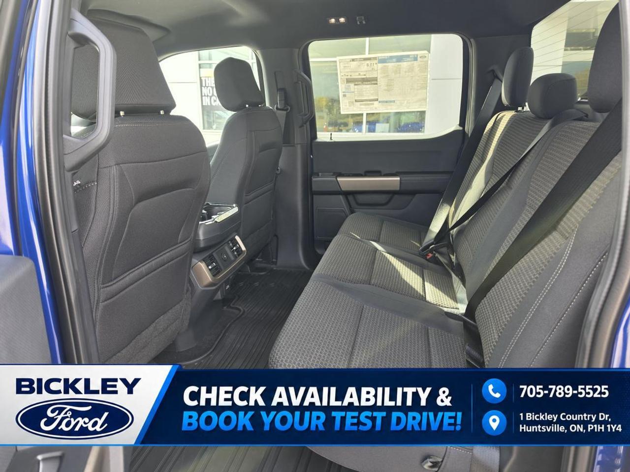 2026 Ford F-150 STX Photo