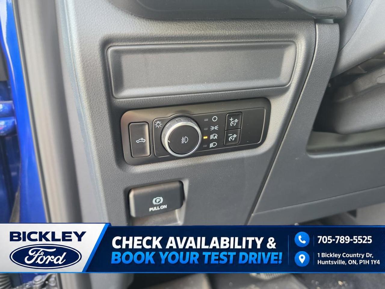 2026 Ford F-150 STX Photo