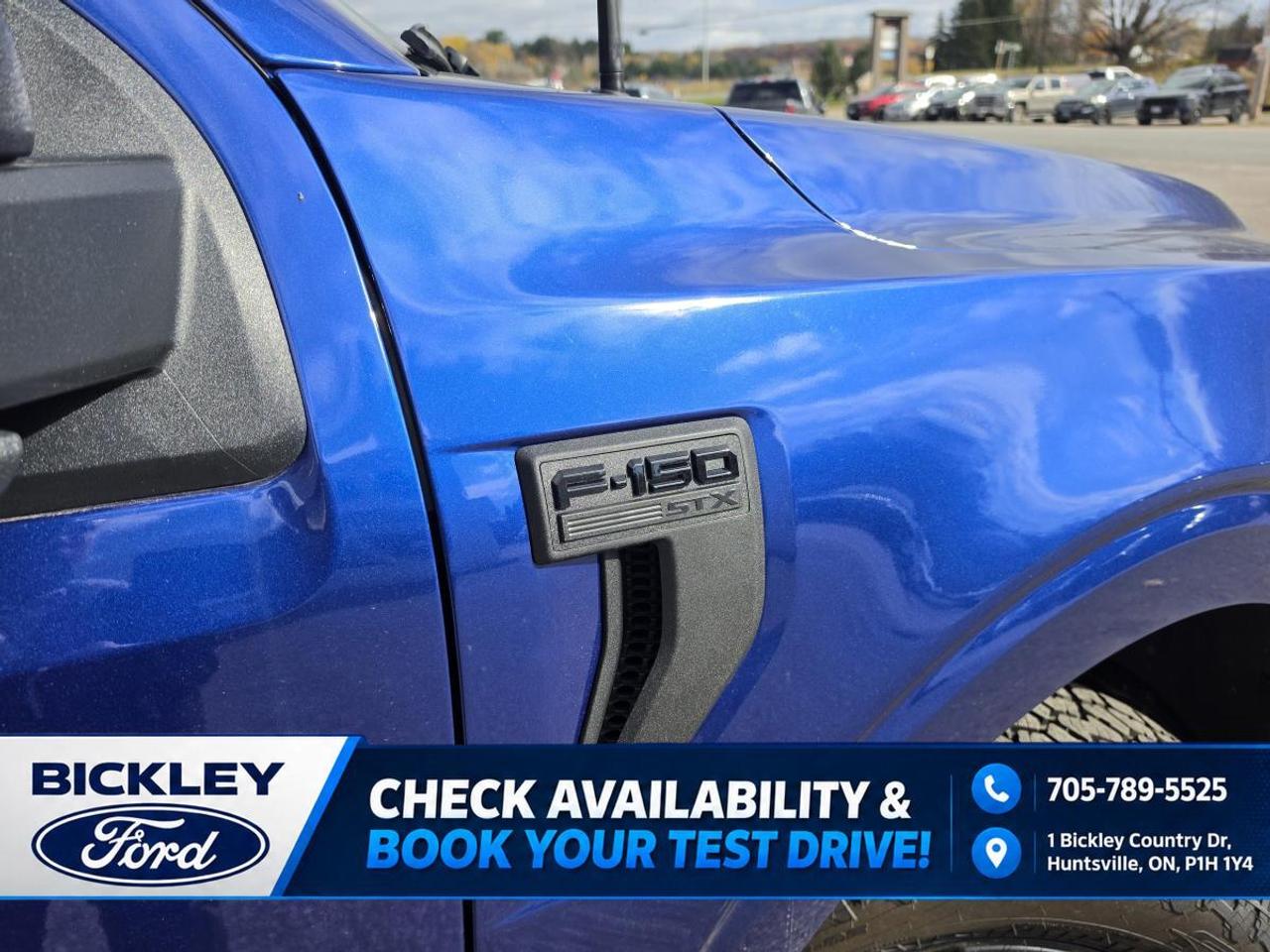 2026 Ford F-150 STX Photo