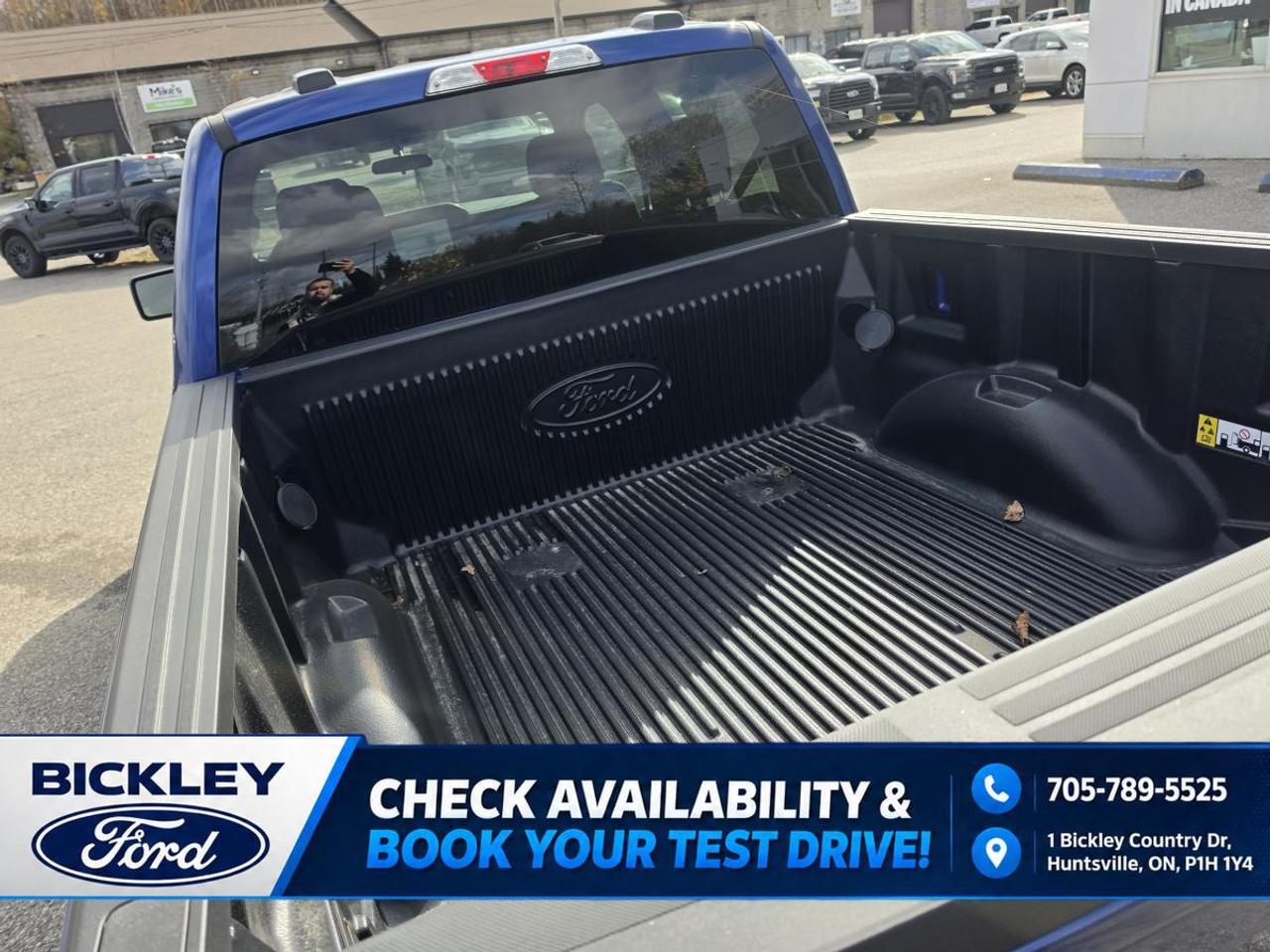 2026 Ford F-150 STX Photo